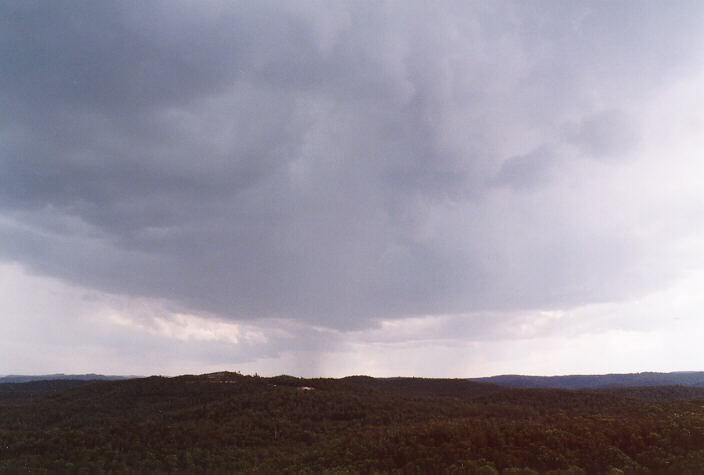 raincascade precipitation_cascade : Mt Tomah, NSW   31 December 1997