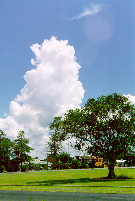 contributions received : Ballina, NSW<BR>Photo by John Bath   1 January 1998