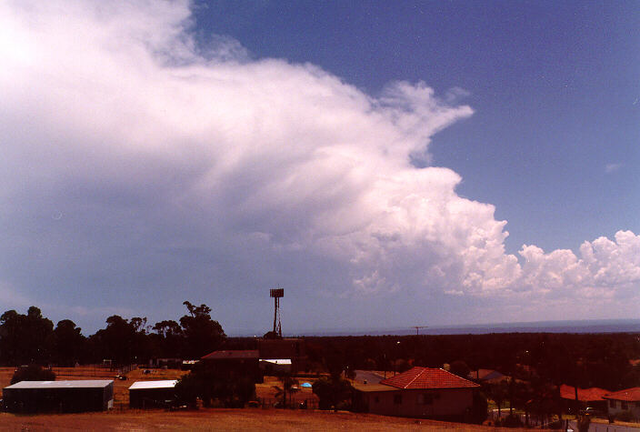 thunderstorm cumulonimbus_incus : Riverstone, NSW   1 January 1998