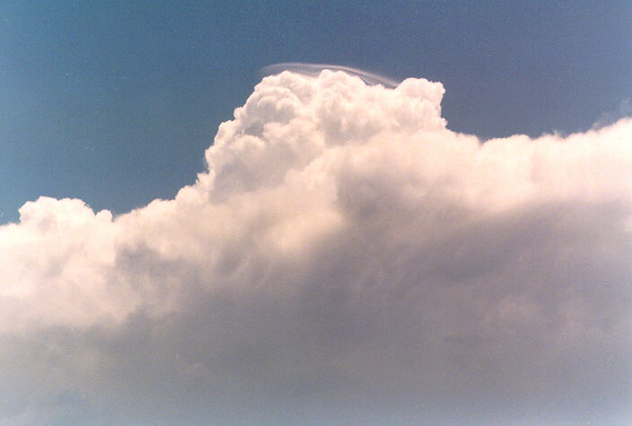 updraft thunderstorm_updrafts : Riverstone, NSW   1 January 1998