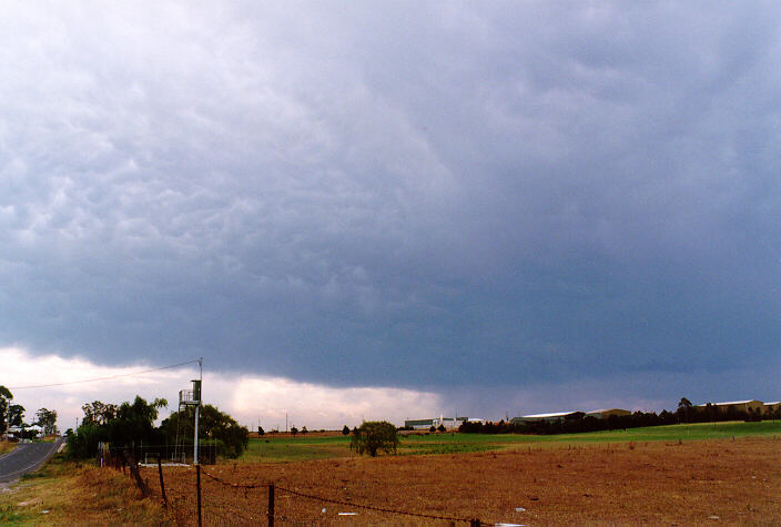 raincascade precipitation_cascade : McGraths Hill, NSW   1 January 1998