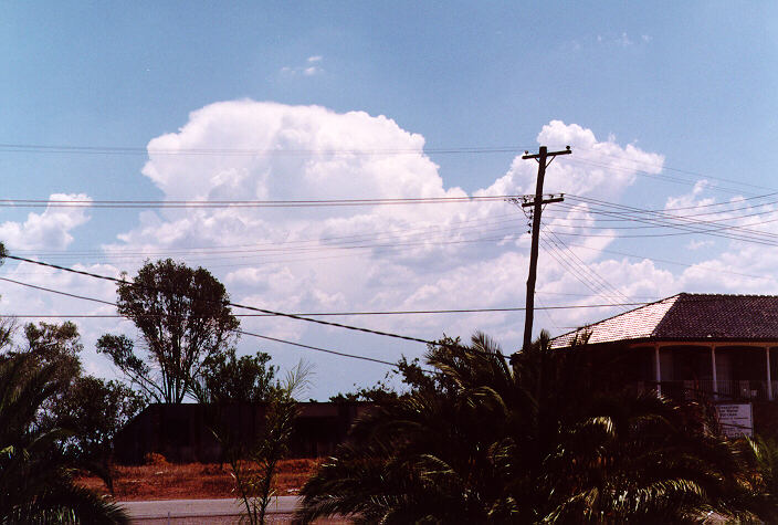 thunderstorm cumulonimbus_incus : Schofields, NSW   2 January 1998