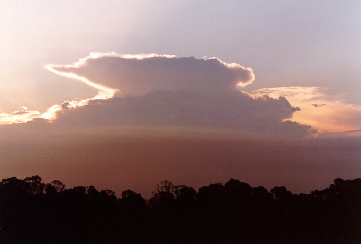 thunderstorm cumulonimbus_incus : Schofields, NSW   4 January 1998