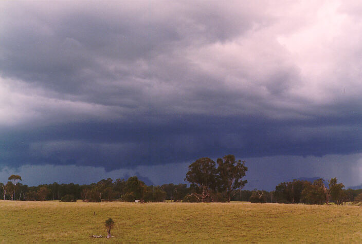 cumulonimbus thunderstorm_base : South Grafton, NSW   15 January 1998