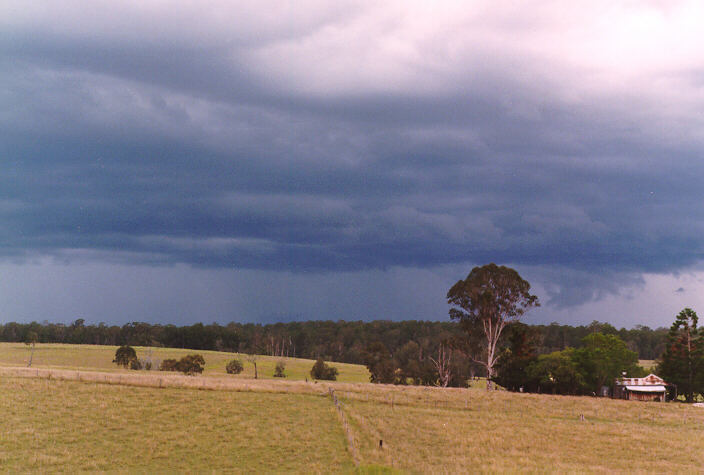 cumulonimbus thunderstorm_base : South Grafton, NSW   15 January 1998