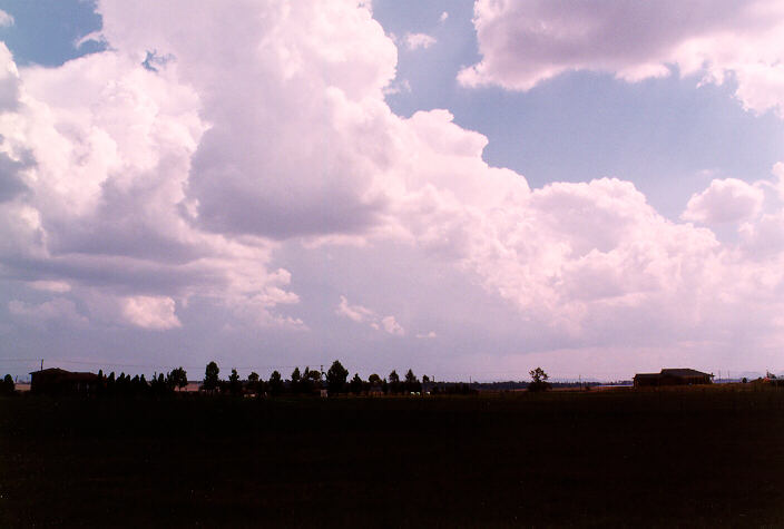 thunderstorm cumulonimbus_incus : near Singleton, NSW   20 January 1998