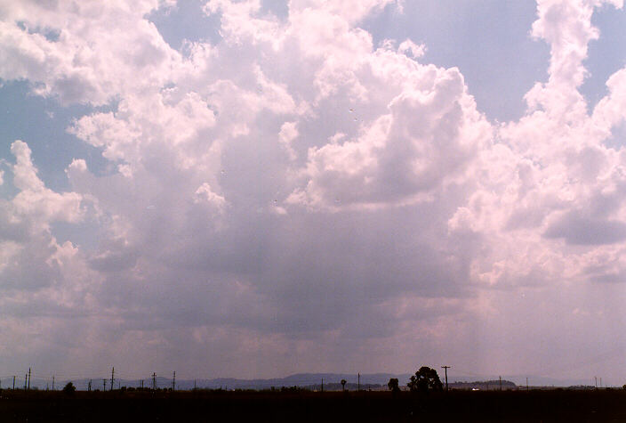 cumulus mediocris : near Singleton, NSW   20 January 1998