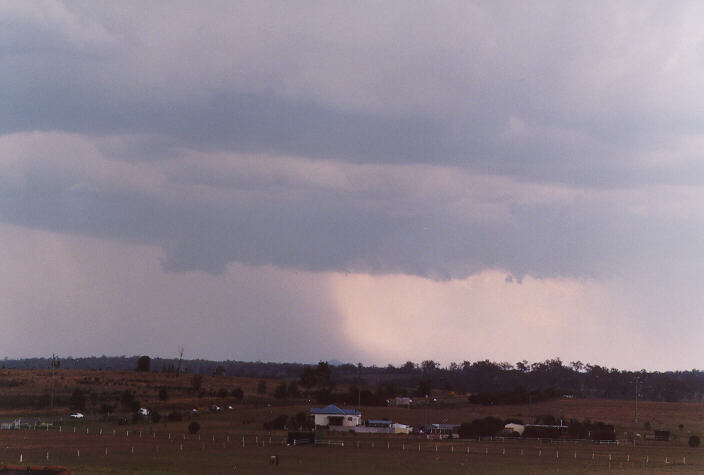 cumulonimbus thunderstorm_base : Brankxton, NSW   20 January 1998