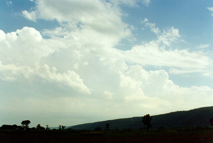 altocumulus castellanus : Castlereagh, NSW   20 January 1998