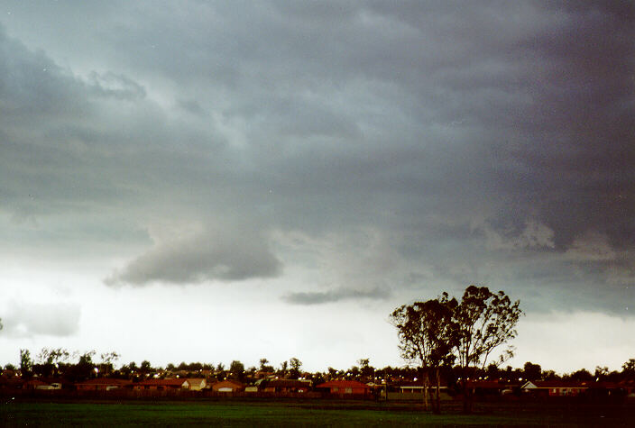 cumulonimbus thunderstorm_base : Hassle Grove, NSW   24 January 1998