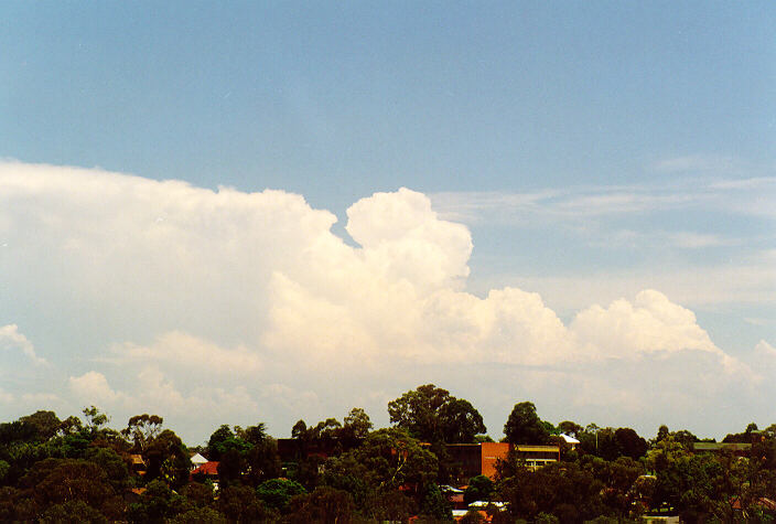 cirrus cirrus_cloud : Rooty Hill, NSW   1 February 1998