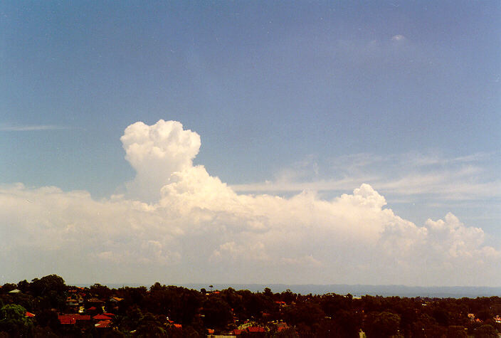 cumulus congestus : Rooty Hill, NSW   1 February 1998