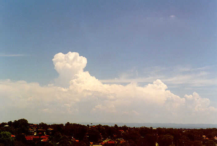 thunderstorm cumulonimbus_calvus : Rooty Hill, NSW   1 February 1998