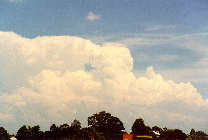 thunderstorm cumulonimbus_calvus : Rooty Hill, NSW   1 February 1998