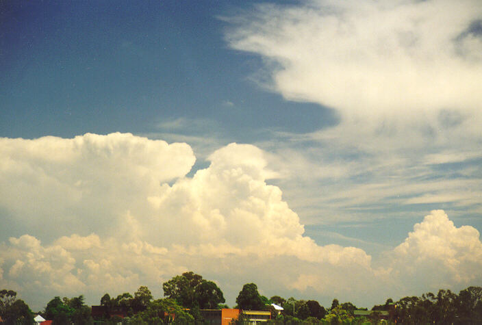 thunderstorm cumulonimbus_incus : Rooty Hill, NSW   1 February 1998