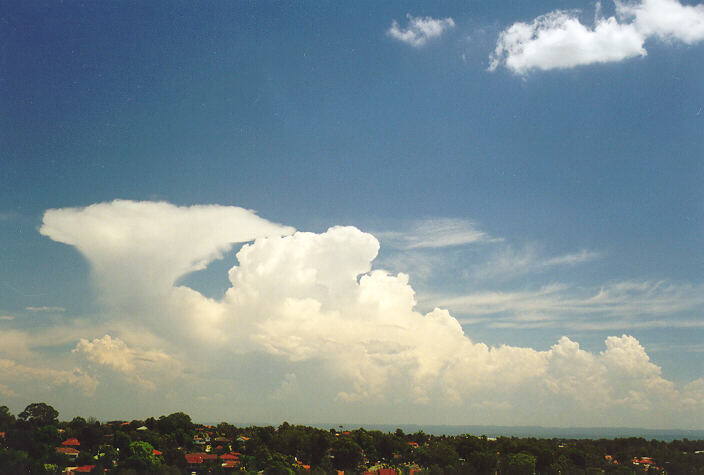 favourites michael_bath : Rooty Hill, NSW   1 February 1998