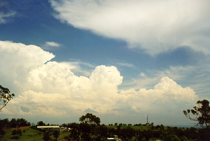 thunderstorm cumulonimbus_calvus : Horsley Park, NSW   1 February 1998