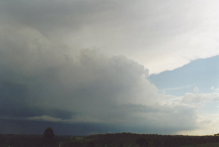 thunderstorm cumulonimbus_incus : Camden, NSW   1 February 1998