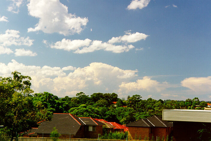 contributions received : North Ryde, NSW<BR>Photo by Paul Graham   12 February 1998