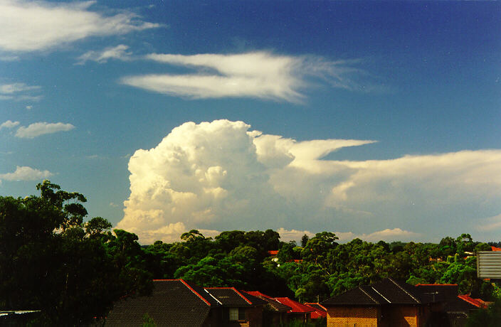 contributions received : North Ryde, NSW<BR>Photo by Paul Graham   12 February 1998