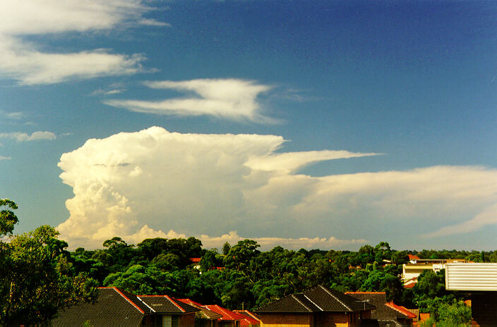 contributions received : North Ryde, NSW<BR>Photo by Paul Graham   12 February 1998