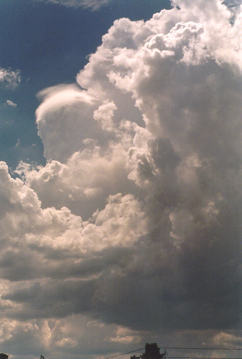 thunderstorm cumulonimbus_calvus : Erskine Park, NSW   15 February 1998