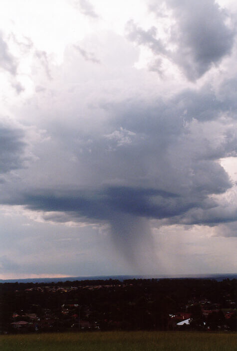 thunderstorm cumulonimbus_calvus : Rooty Hill, NSW   15 February 1998