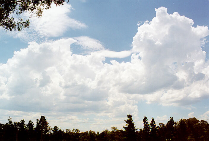 cumulus congestus : Kemps Creek, NSW   15 February 1998