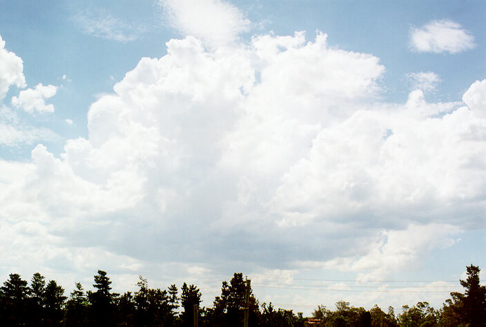 cumulus congestus : Kemps Creek, NSW   15 February 1998