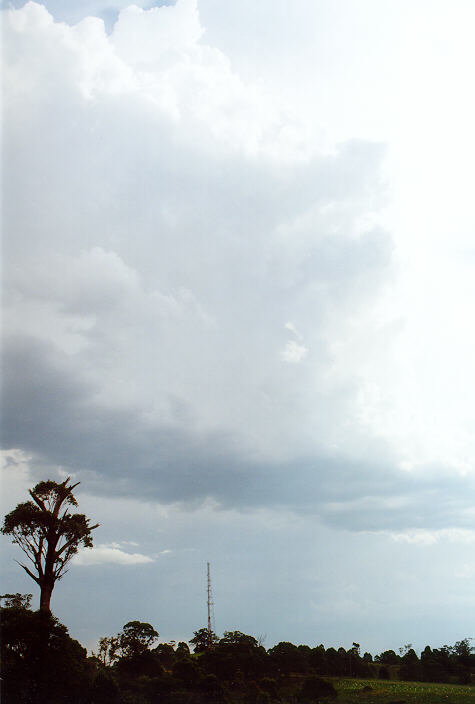 cumulus congestus : Horsley Park, NSW   15 February 1998