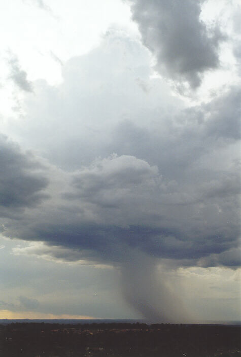 thunderstorm cumulonimbus_calvus : Rooty Hill, NSW   15 February 1998