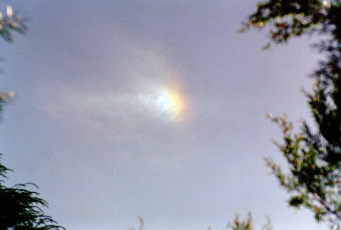 cirrus cirrus_cloud : Oakhurst, NSW   26 February 1998