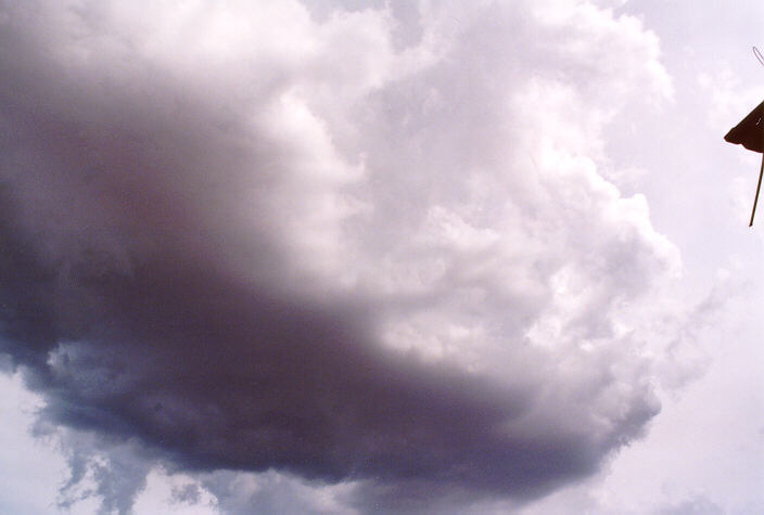 updraft thunderstorm_updrafts : Schofields, NSW   3 March 1998