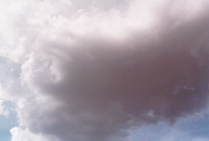 cumulonimbus thunderstorm_base : Schofields, NSW   3 March 1998