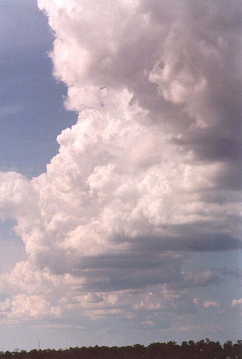 updraft thunderstorm_updrafts : Schofields, NSW   3 March 1998