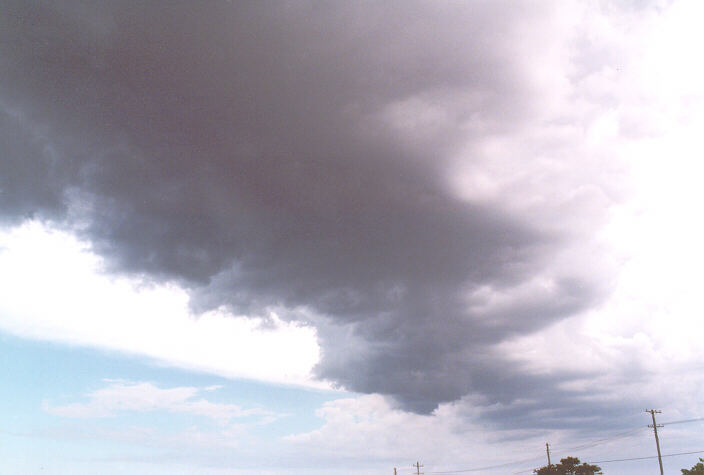 cumulonimbus thunderstorm_base : Schofields, NSW   3 March 1998