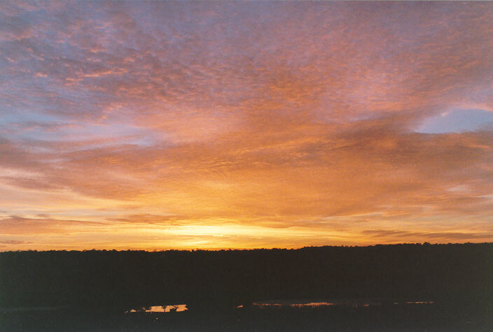 altocumulus altocumulus_cloud : Schofields, NSW   13 June 1998