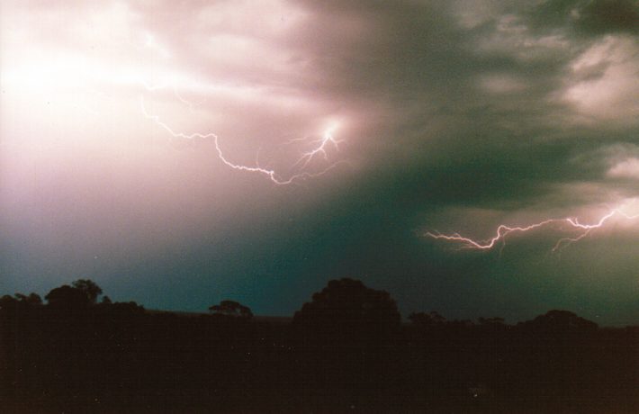 contributions received : Murtoa, VIC<BR>Photo by Paul Yole   1 October 1998