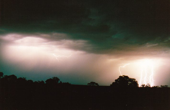 contributions received : Murtoa, VIC<BR>Photo by Paul Yole   1 October 1998