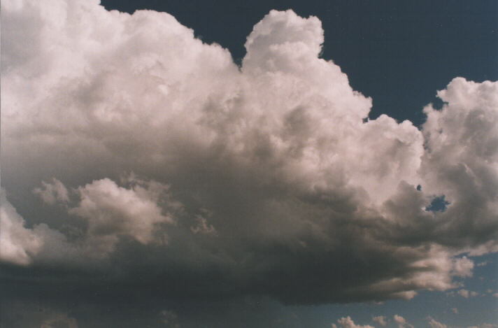 cumulus congestus : near Willow Tree, NSW   4 October 1998