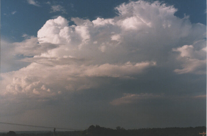 thunderstorm cumulonimbus_incus : Schofields, NSW   7 November 1998