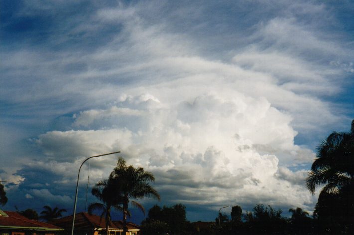 cirrus cirrus_cloud : Oakhurst, NSW   13 November 1998