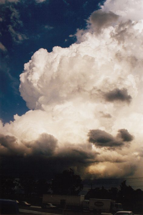 updraft thunderstorm_updrafts : The Cross Roads, NSW   13 November 1998