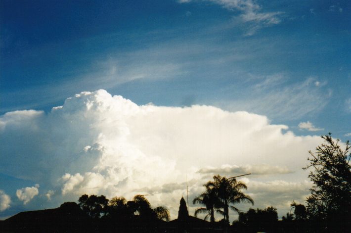 cirrus cirrus_cloud : Oakhurst, NSW   13 November 1998