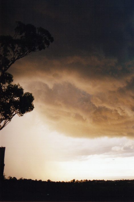 cumulonimbus thunderstorm_base : Horsley Park, NSW   13 November 1998
