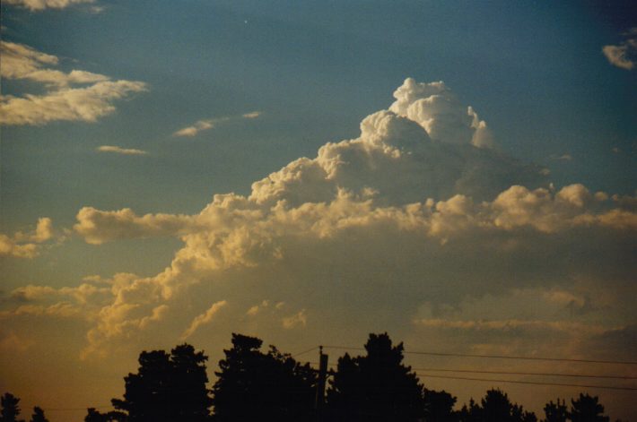 cumulus congestus : Kemps Creek, NSW   15 November 1998