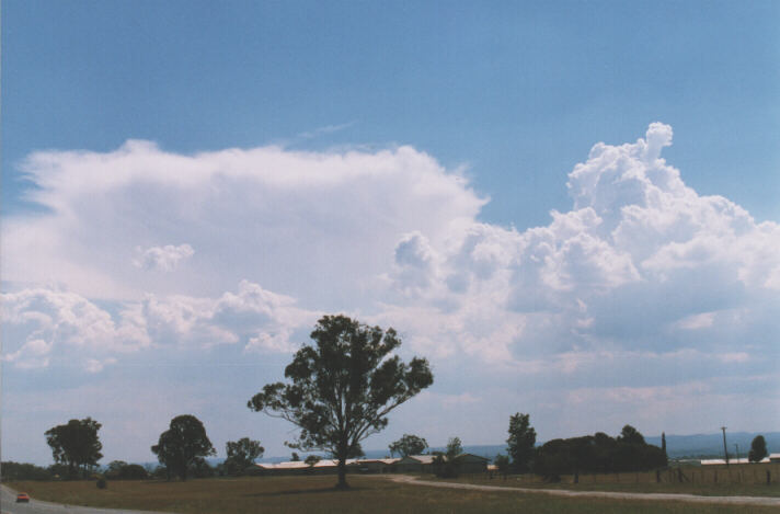 thunderstorm cumulonimbus_incus : Luddenham, NSW   12 December 1998
