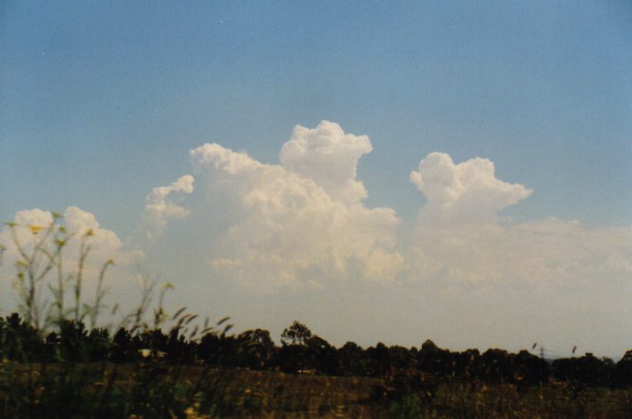 cumulus congestus : St Marys, NSW   12 December 1998