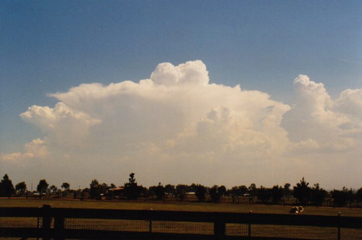 overshoot overshooting_top : Luddenham, NSW   12 December 1998