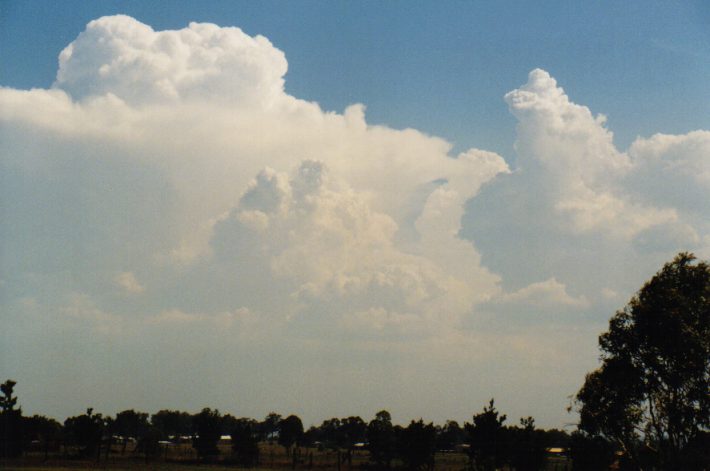 thunderstorm cumulonimbus_incus : Luddenham, NSW   12 December 1998